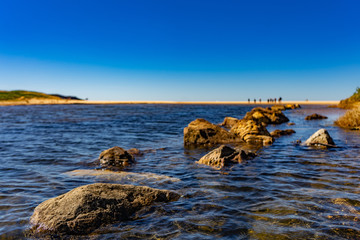 dee why beach lake 