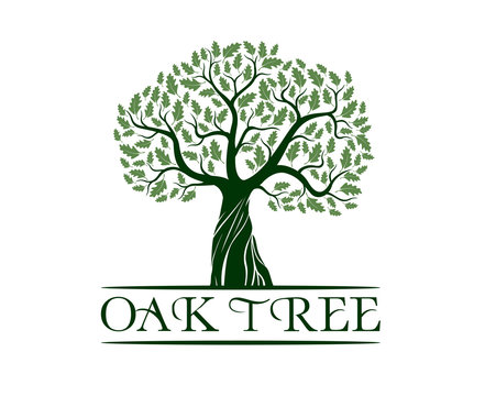Green Isolated Oak Tree on white background. Vector Illustration and concept pictogram.