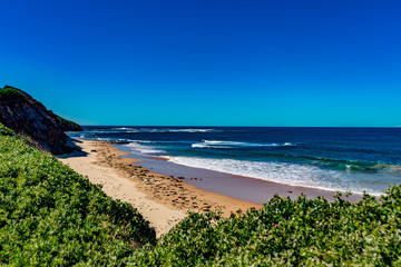dee why beach