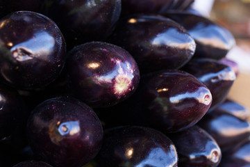 Fresh eggplant on market counter