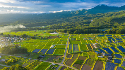 Japanese paddy field scenery shining in the sunset