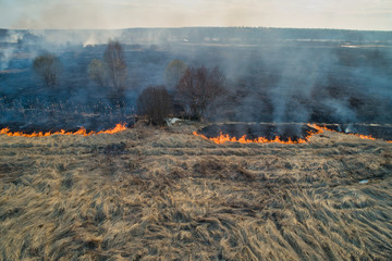 Forest fire. Dry grass burning in the field, near the river.