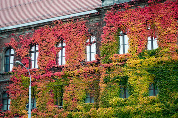 Muzeum Narodowe