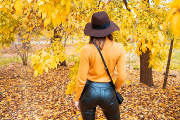 Female autumn fashion concept. Copy, empty space for text. Autumn woman in autumn park. Warm sunny weather. Fall concept.Back view of a woman walks in the sunny autumn season park. 