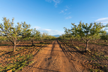 Obraz premium End of the World, Spectacular panorama of the deserts of Granada In Guadix (Spain)