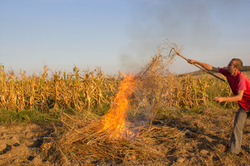 man burning dry grass,man throws dry grass on fire, burning dry weeds in the field