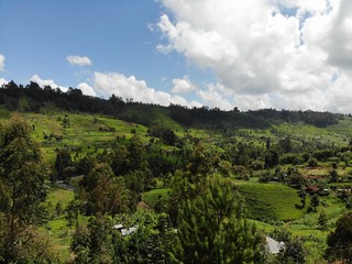 Naklejka na ściany i meble Aberdare Arial Landscape View, Kenya.