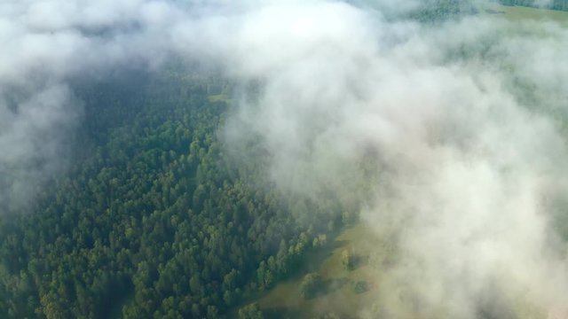 The copter rises high above the terrain in the fog. Early sunny morning over a dense forest.