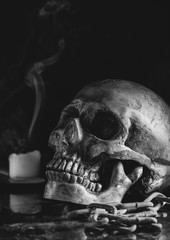 Obraz premium Closeup of a Scary Human Skull