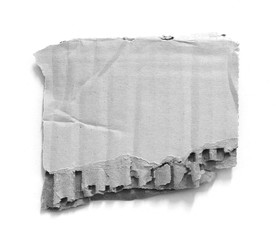 torn paper on white