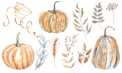Watercolor autumn orange and green pumpkins with leaves