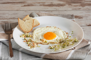 Healthy breakfast. Fried egg close up served with sprouted grain. Dieting concept. Healthy low calories food. Weight loss.