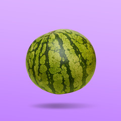 Floating watermelon isolated on purple background, minimal design