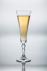 glass of white wine