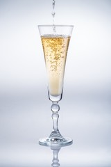 glass of white wine