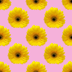 seamless pattern collage from photo of yellow gerbera. regular repeat flowers background.