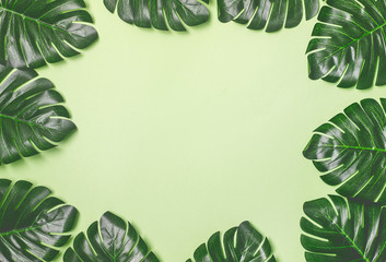 Fototapeta premium Tropical Monstera Leaves Tropical Summer Fashion Background with a Space for a Text Frame Light Green Background Top View