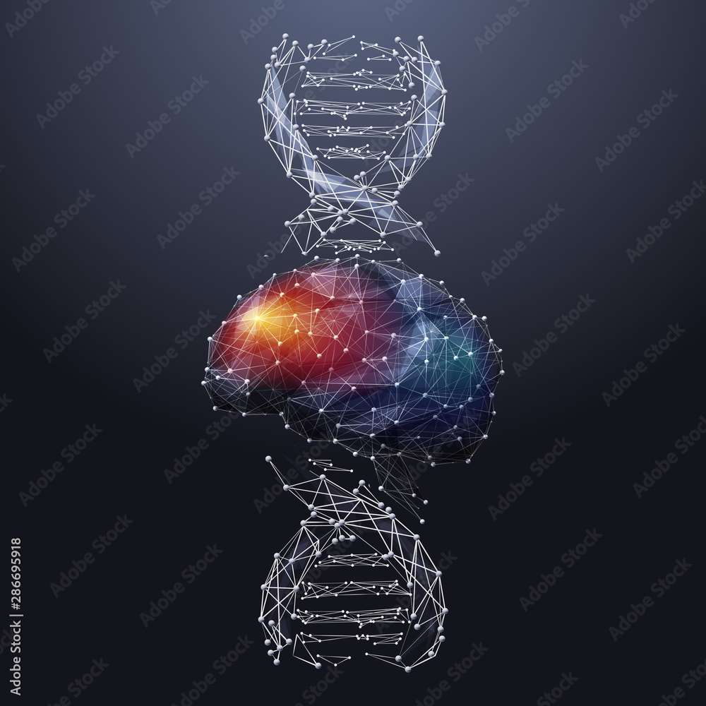 Poster brain and dna spiral low poly wireframe illustration. colorful polygonal neurons cells connections m