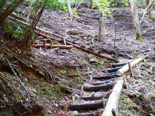 Fototapeta premium 登山道