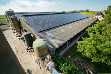 Modern farm with solar panels on the roof of a cowshed © fotografiecor