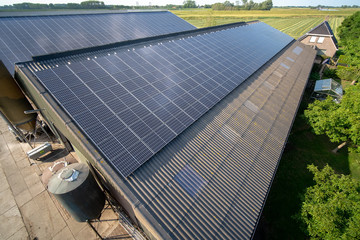Modern farm with solar panels on the roof of a cowshed