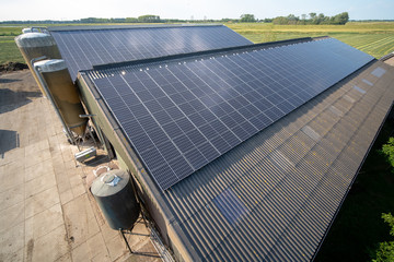 Modern farm with solar panels on the roof of a cowshed - 286698519