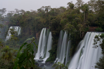Fototapeta premium waterfall in forest