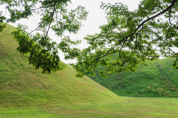 경주 봉황대 고분 유적지