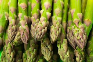Asparagus - Close Up