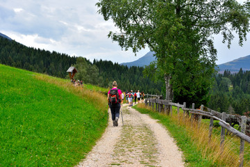 dolomites of Catinaccio alto Adige Italy