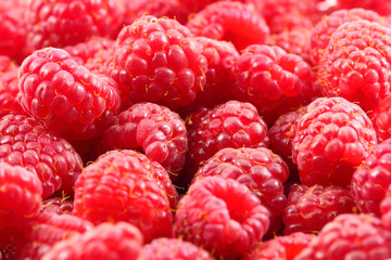 Raspberries red in bulk close-up many of berries background, bokeh effect.