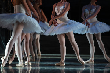 Swan Lake ballet. Closeup of ballerinas dancing