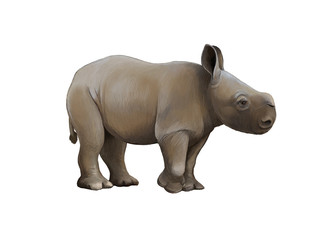 Fototapeta na wymiar cartoon scene with rhinoceros safari animal illustration for children