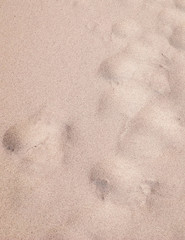 Shoe print on the sand