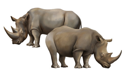 Obraz premium cartoon scene with rhinoceros safari animal illustration for children