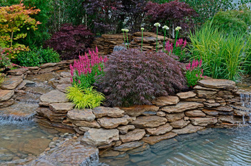 The pond area in an aquatic garden and planted rockery and selection of flowers, shrubs and grasses - obrazy, fototapety, plakaty