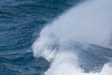 Waves of stormy cold sea on the south of Iceland