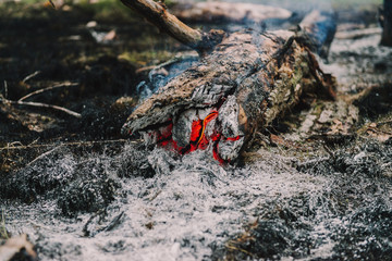Fire in the forest and the consequences. Smoldering stumps and their quenching with water
