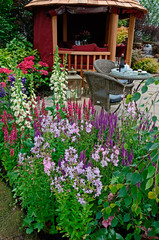 The patio area with seating in an aquatic garden with colourful flower border with salvia, phlox, foxgloves and hydrangeas in front of a Summer House
