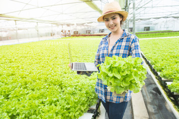 Focused at green oak vegetable in hand of asian woman farmer with laptop in greenhouse hydroponic organic.Small business entrepreneur and organic vegetable farm and healthy food concept