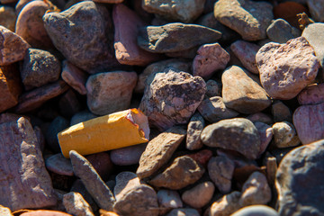 The most common form of garbage with an estimated 5 billion cigarette butts thrown into the environment worldwide each year. 