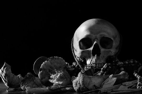 Skull on old altar table which has dark background