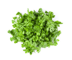 coriander leaf isolated on white background. top view
