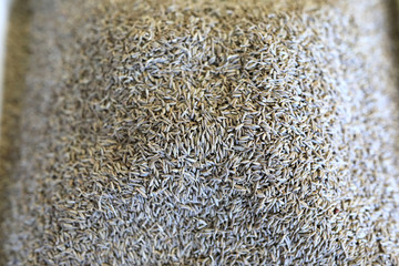 Seasoning zeera on market counter