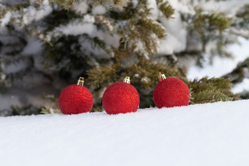 Fototapeta na wymiar Cristmas tree branches and bright balls on a clean pure snow for natural winter background. New year composition. Shallow depth of field. Selection focus