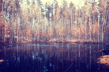 landscape in the autumn park / concept nature seasonal landscape season, autumn, forest, trees Indian summer