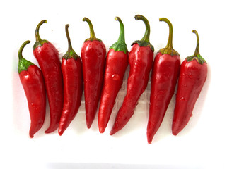 Red Chili pepper. isolated on white background
