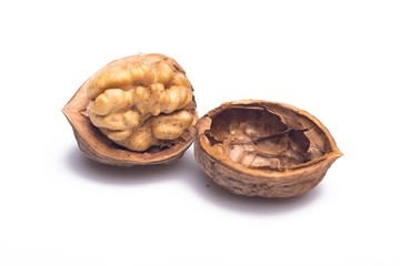 Open Walnut