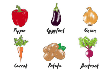 Vector engraved style organic vegetables collection for posters, logo, menu, decoration, packaging. Hand drawn colorful sketches isolated on white background. Detailed vintage woodcut drawing.