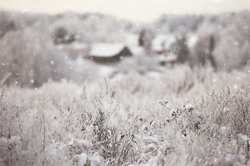 Winter in the Russian village / winter landscape, forest in Russia, snow-covered trees in the...